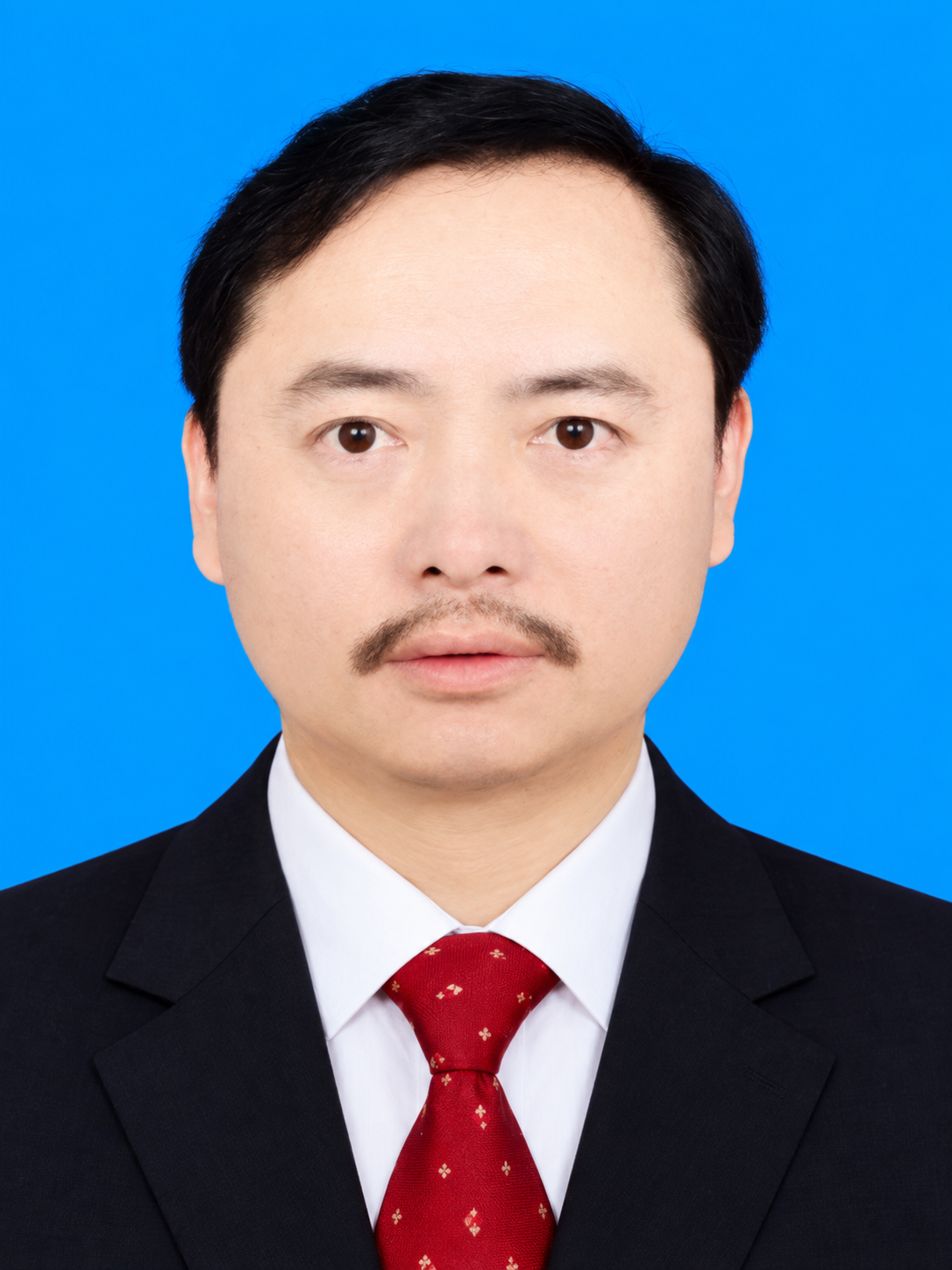 艺术名家——徐武强先生